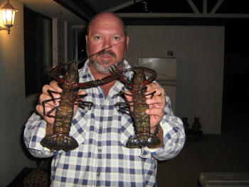 Harvey Marron Harvey Marron